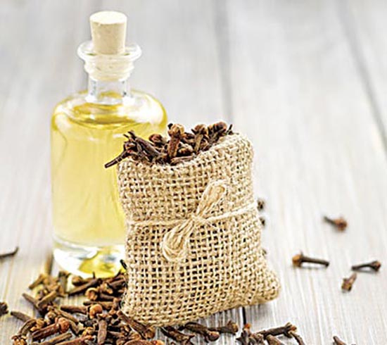 eenadulivenews's tweet photo. ఇంట్లో ఆ నూనె ఉందా?
https://t.co/5pRAtXpgqJ
#HealthBeautyTips #CloveOil https://t.co/JBt3CnEh2b