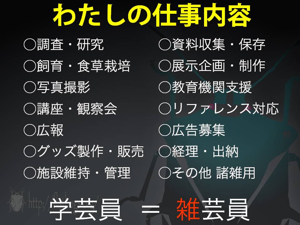 ピン セイダイ Nagashima Seidai 学芸員の仕事内容 いっぱいある いやになるくらいある 虫に関わることばかりではないし むしろ事務仕事の方が多い 雑芸員と呼ばれることもある ずっと眠い 早く帰って寝たい 酒がやめられない 学芸員のおしごと