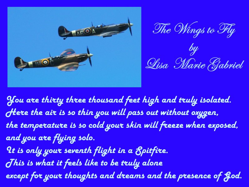 persimew's tweet photo. #Fallbackintime to the female pilots of #WW2 in The Wings to Fly https://t.co/uMp4H86Kf2 #kindleunlimted #IAN1 #histrom #lesbian #FWRT https://t.co/cFZxpYDHqF