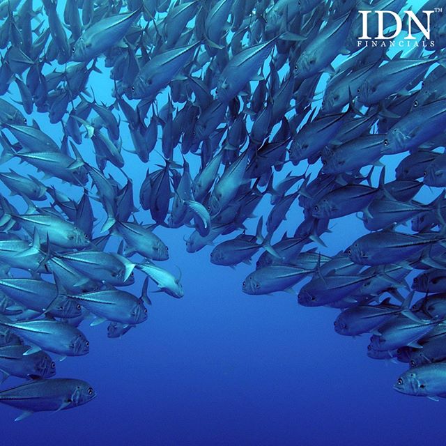 IDNFinancials's tweet photo. Fishing companies struggle during 2016 https://t.co/Yb66HGy08c #idnfinancials #DSFI #CPRO #IIKP https://t.co/e7DR5qvluV