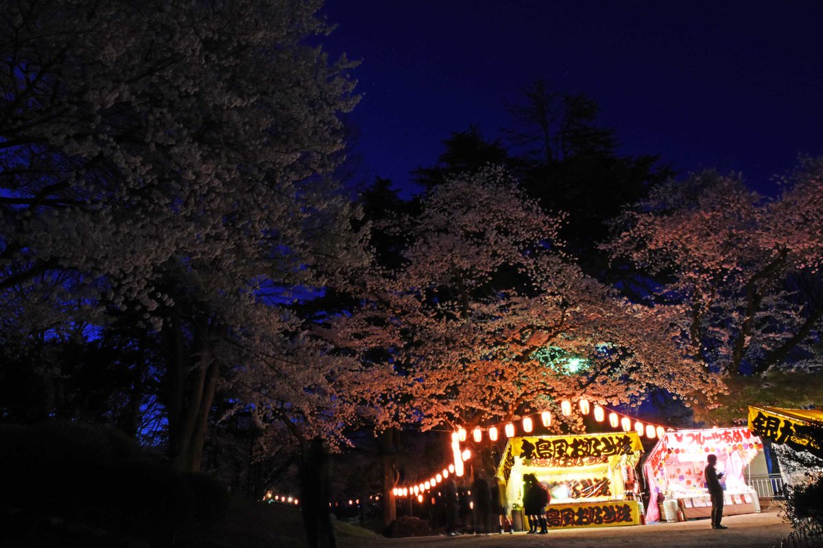 群馬県沼田市 V Twitter 桜 夜桜 桜まつり 沼田市 沼田城 沼田公園 続日本100名城 4 18撮影 広報 群馬県沼田市 V Twitter 桜 夜桜 桜まつり 沼田市 沼田城 沼田公園 続日本100名城 4 18撮影 広報