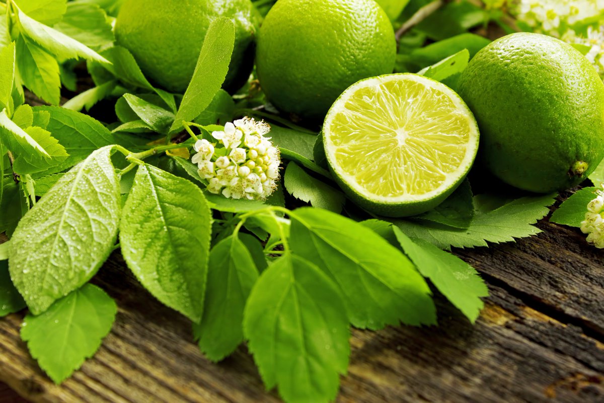 AmphoraA's tweet photo. Blend of the day...4 drops of #Lime, 3 #BlackPepper &amp; 3 #Cedarwood #essentialoil #MotherNature #earthy #stimulating #tuesdaymotivation https://t.co/UPlv1zomTt