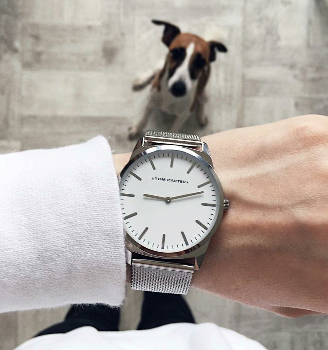 Life is better with a dog!

Get -25% for all online purchases! 
Enter ''tc25'' at checkout. 
#tomcarter #watch #man #woman #fashion
