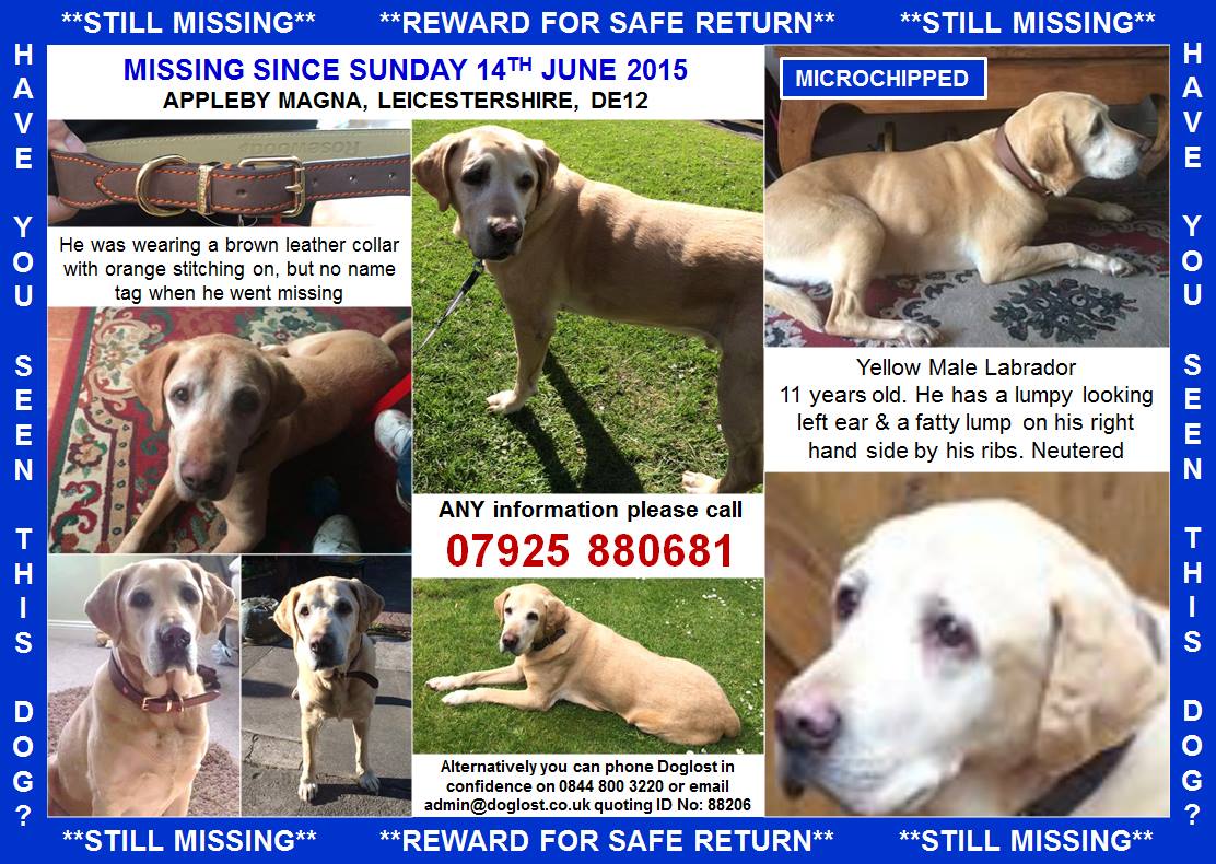 Sarah Williams tweet media