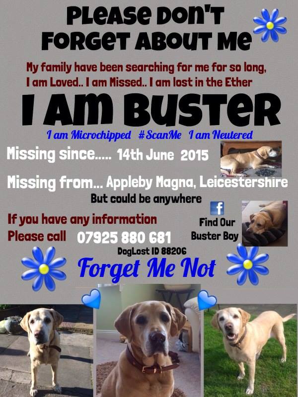 Sarah Williams tweet media