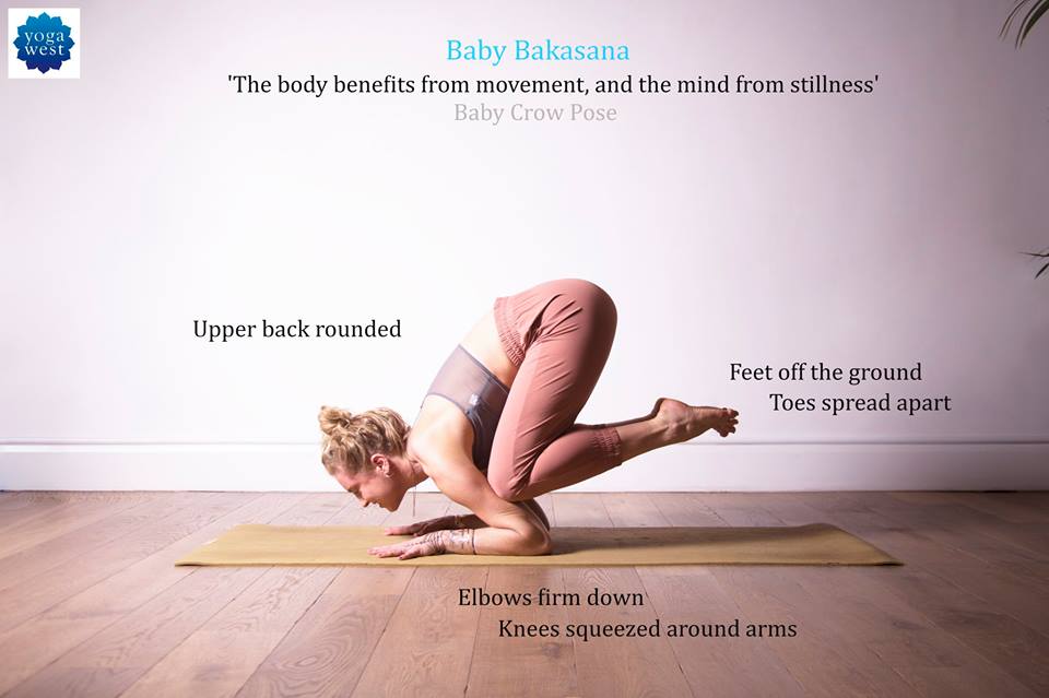 Showing you how to get into baby crow pose. ☺️ #yogainstructor #yogate... |  TikTok