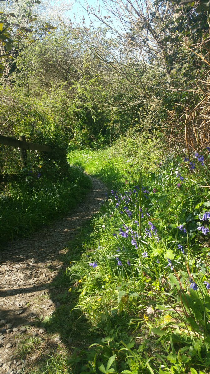 TorringsBarn's tweet photo. We think #Devon is idyllic, come &amp; see for yourself

#luxury #selfcatering #EastPrawle #EastPortlemouth #Salcombe #SWisbest #Staycation2017 https://t.co/bsEsFcU961