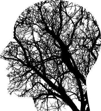 Natural_Answers's tweet photo. The food you eat can really improve your brain #health. Find out how on our latest #Blog https://t.co/0oLSlJVYpl #foodie #healthylifestyle https://t.co/kiLMFUkMCx