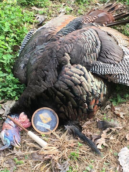Congrats to Randy Bennett on taking this great KY long beard!!!!! #DeadEndGameCalls #Turkey2017