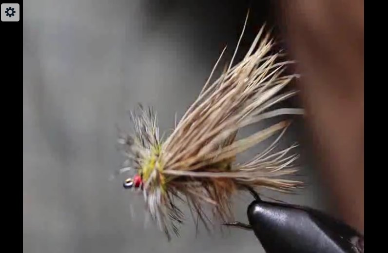 Do you have a Fly Tying Mentor?

Click here:  wetflyswing.com/fly-tying-ment…

#flytying #angling #flyfishing