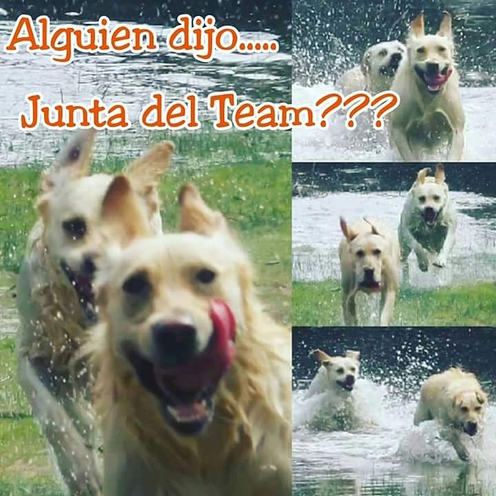 ATENCION SANTIAGO! 
SABADO 22 DE ABRIL PARQUE BICENTENARIO DE CERRILLOS DESDE 14:30
Confirma tu asistencia aqui = facebook.com/events/7648230…
RT