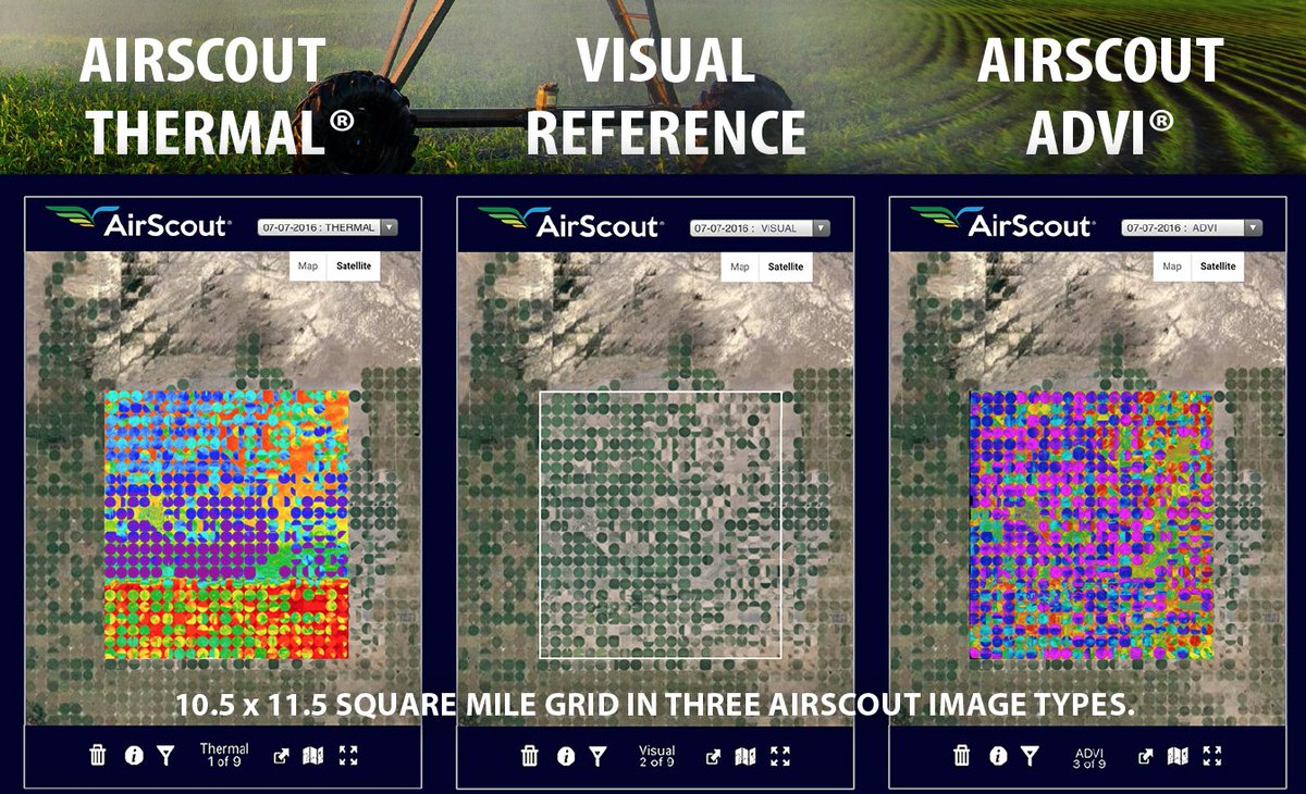 AirScout also flies grids! #AirScout #Thermal #ADVI #Visual #plant17