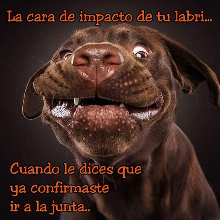 ATENCION SANTIAGO! 
SABADO 22 DE ABRIL PARQUE BICENTENARIO DE CERRILLOS DESDE 14:30
Confirma tu asistencia aqui = facebook.com/events/7648230…
RT