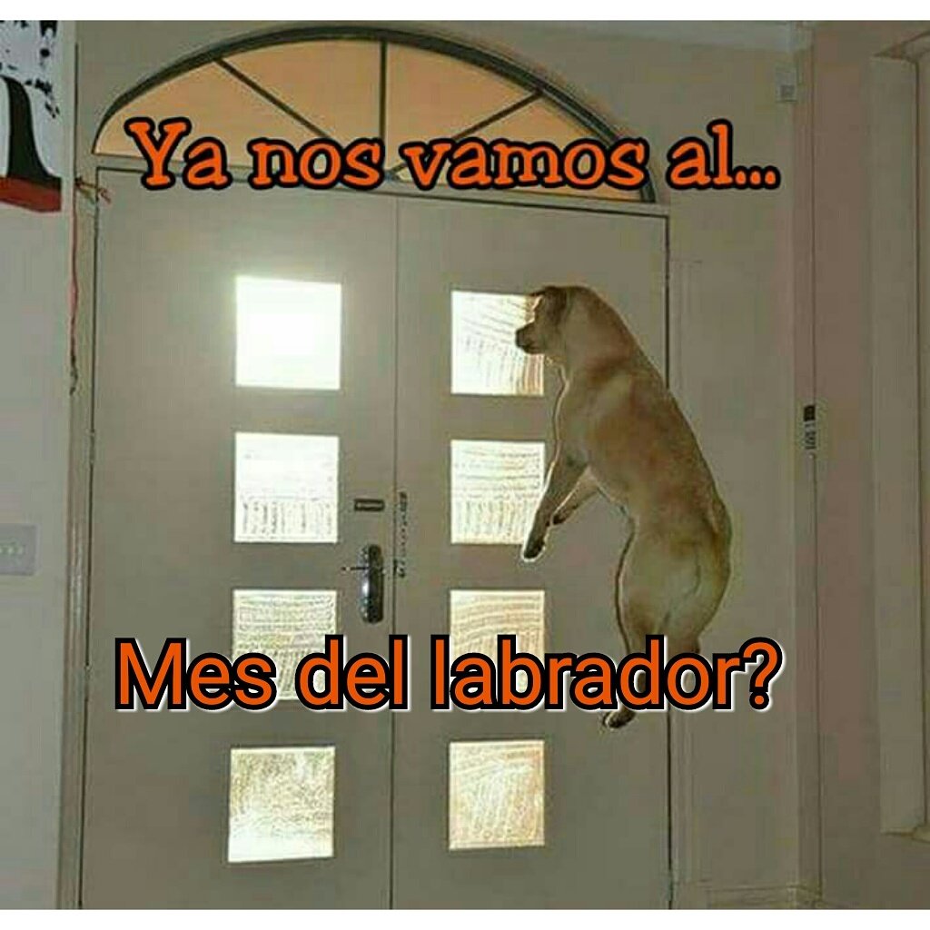 ATENCION SANTIAGO! 
SABADO 22 DE ABRIL PARQUE BICENTENARIO DE CERRILLOS DESDE 14:30
Confirma tu asistencia aqui = facebook.com/events/7648230…
RT