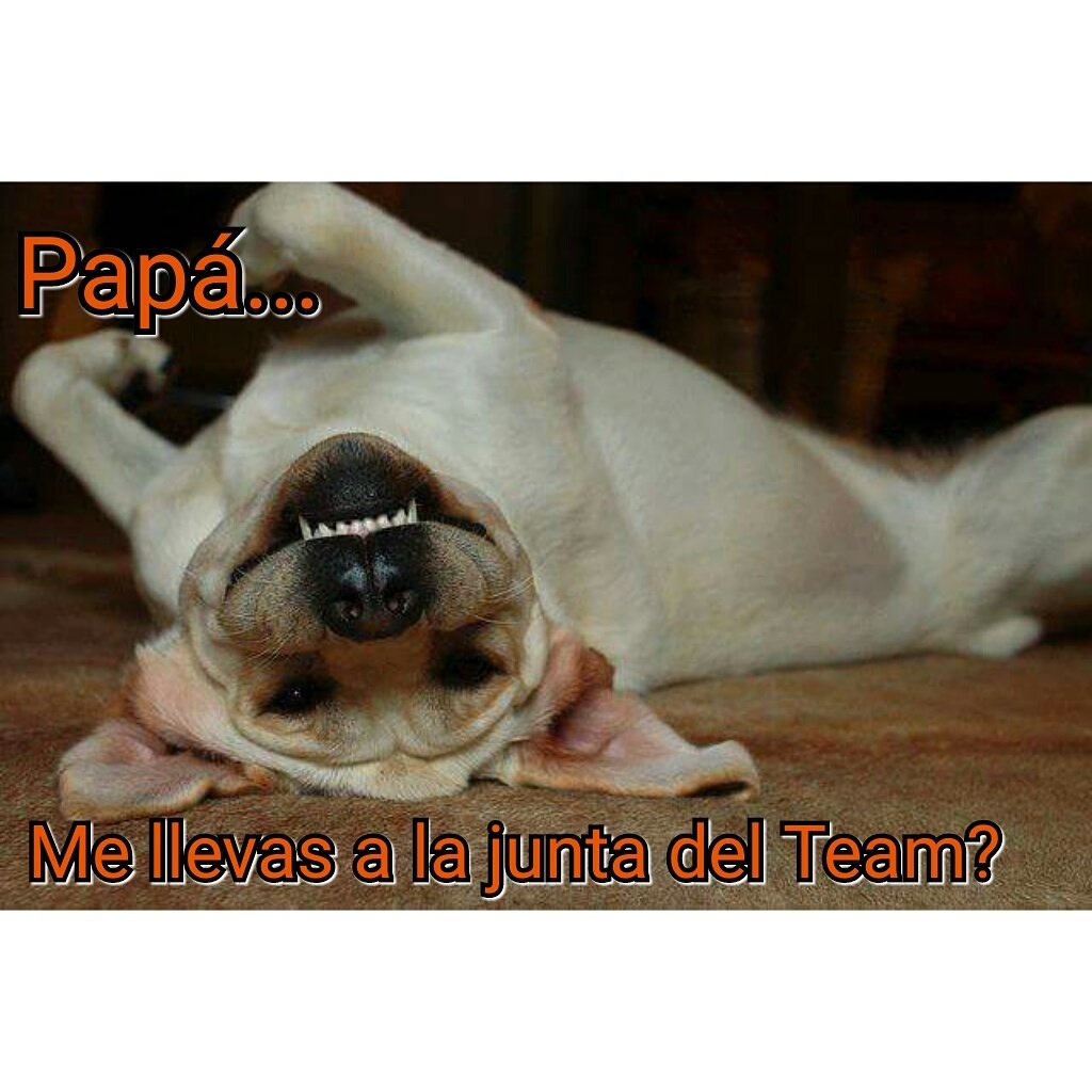 ATENCION SANTIAGO! 
SABADO 22 DE ABRIL PARQUE BICENTENARIO DE CERRILLOS DESDE 14:30
Confirma tu asistencia aqui = facebook.com/events/7648230…
RT