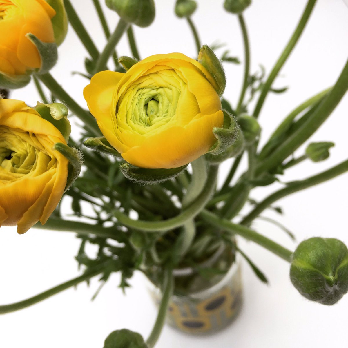 Ranunculus bursting with spring colour! Floristry workshops held in Ashford. Spaces available starting 19th May #carolinemillerfloristry