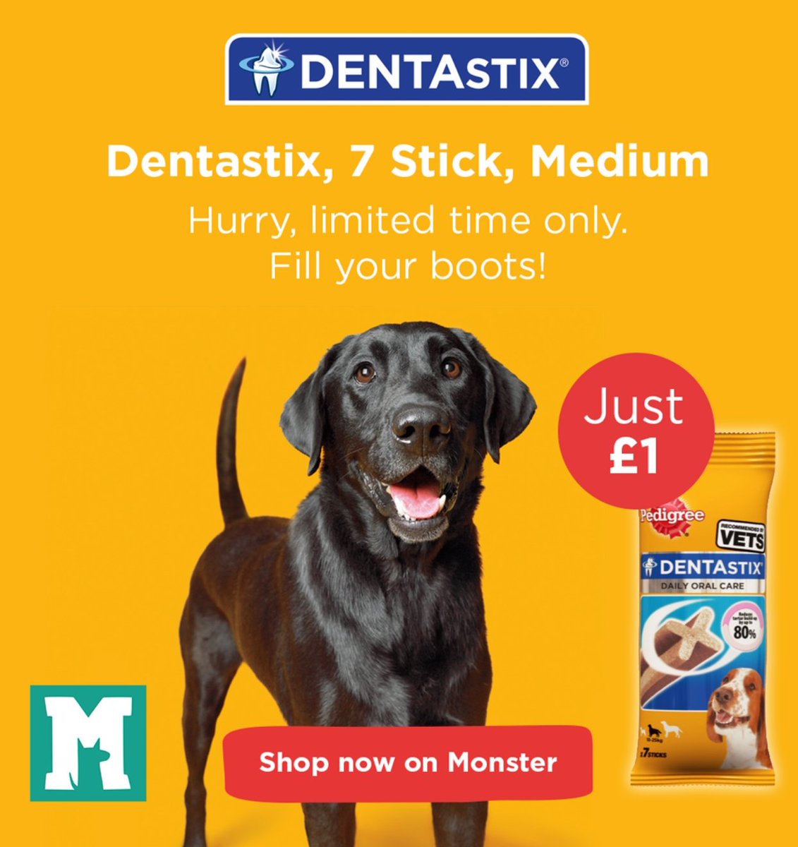 Petvault tweet media