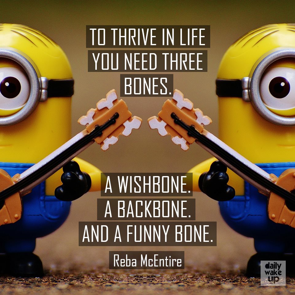 _DailyWakeUp's tweet photo. In #life you need three bones to thrive! :)
#TuesdayMotivation #funny https://t.co/1ap894L4iE