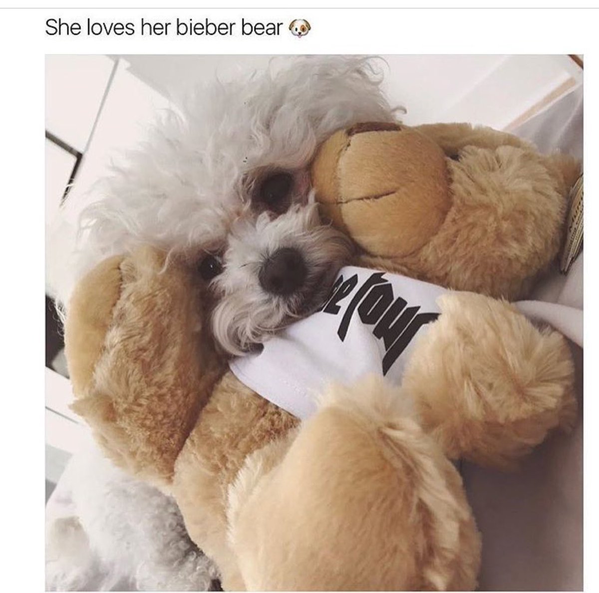 tbiebear's tweet photo. This is cute. Lol go get your own #bieberbear on @FadeStreetWear website! https://t.co/JoE1HbbNJ0