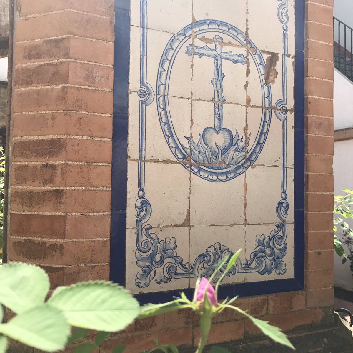 LaSantaCaridad's tweet photo. Un año más el #Milagrodecadaprimavera los Rosales de #MiguelMañara florecen una vez más. Y la cosecha de este año es especialmente numerosa! https://t.co/B5E6db6Hfv