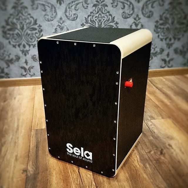 Ross 2024 mccallum cajon
