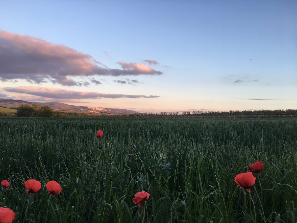 cost____'s tweet image. 