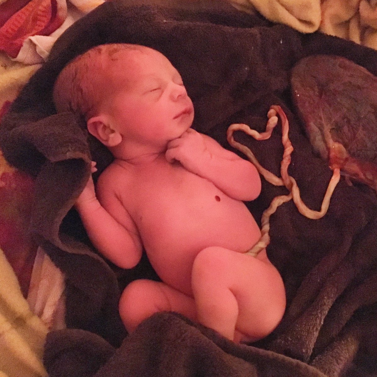 Karinelasagefemme tweet media