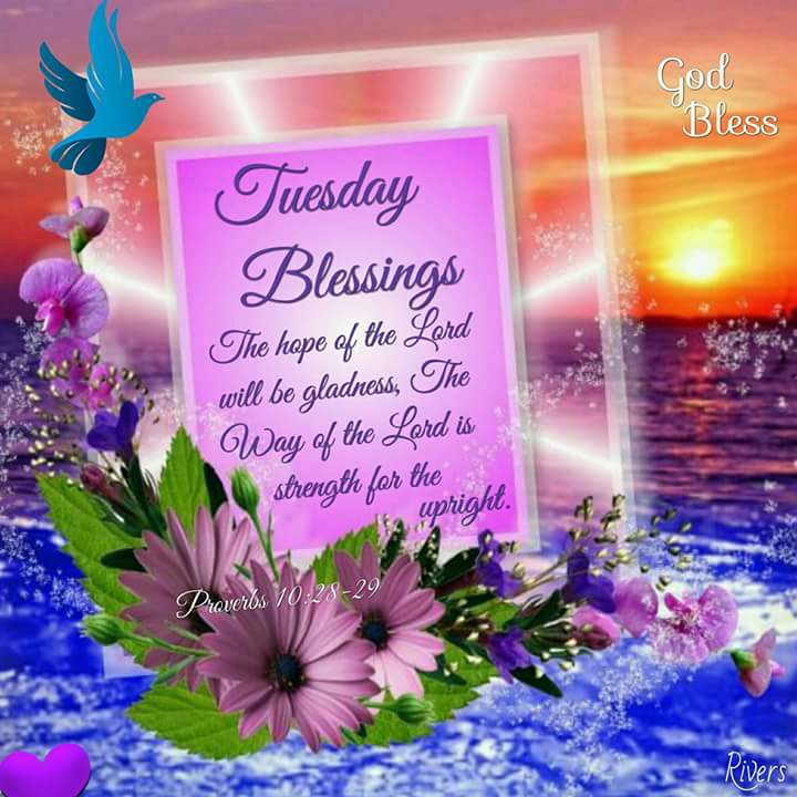 veneshak's tweet photo. #TuesdayMotivation #likeforfolow #bless https://t.co/fiItqLaLzc