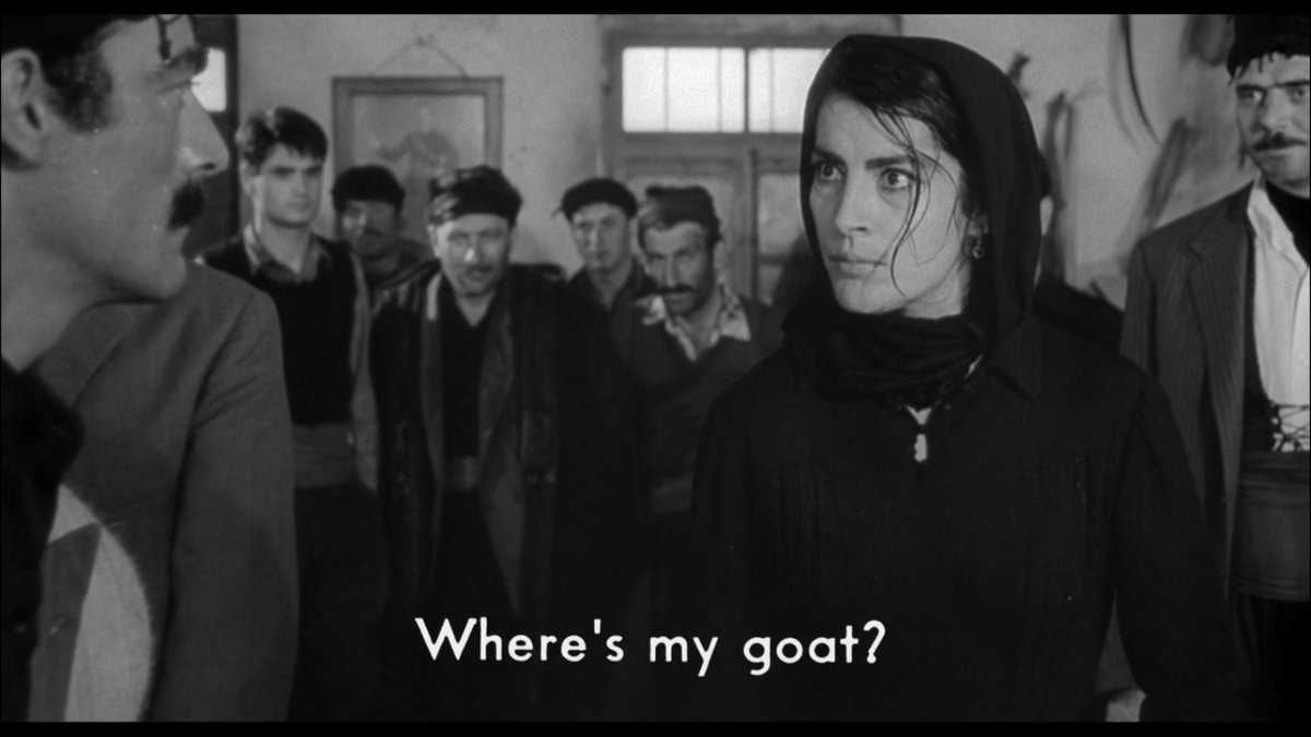 Beth__Meyer's tweet photo. A widow surrounded by suitors -- similar to the #Odyssey's Penelope #classcin17 #zorba https://t.co/Go0rLFbh4g