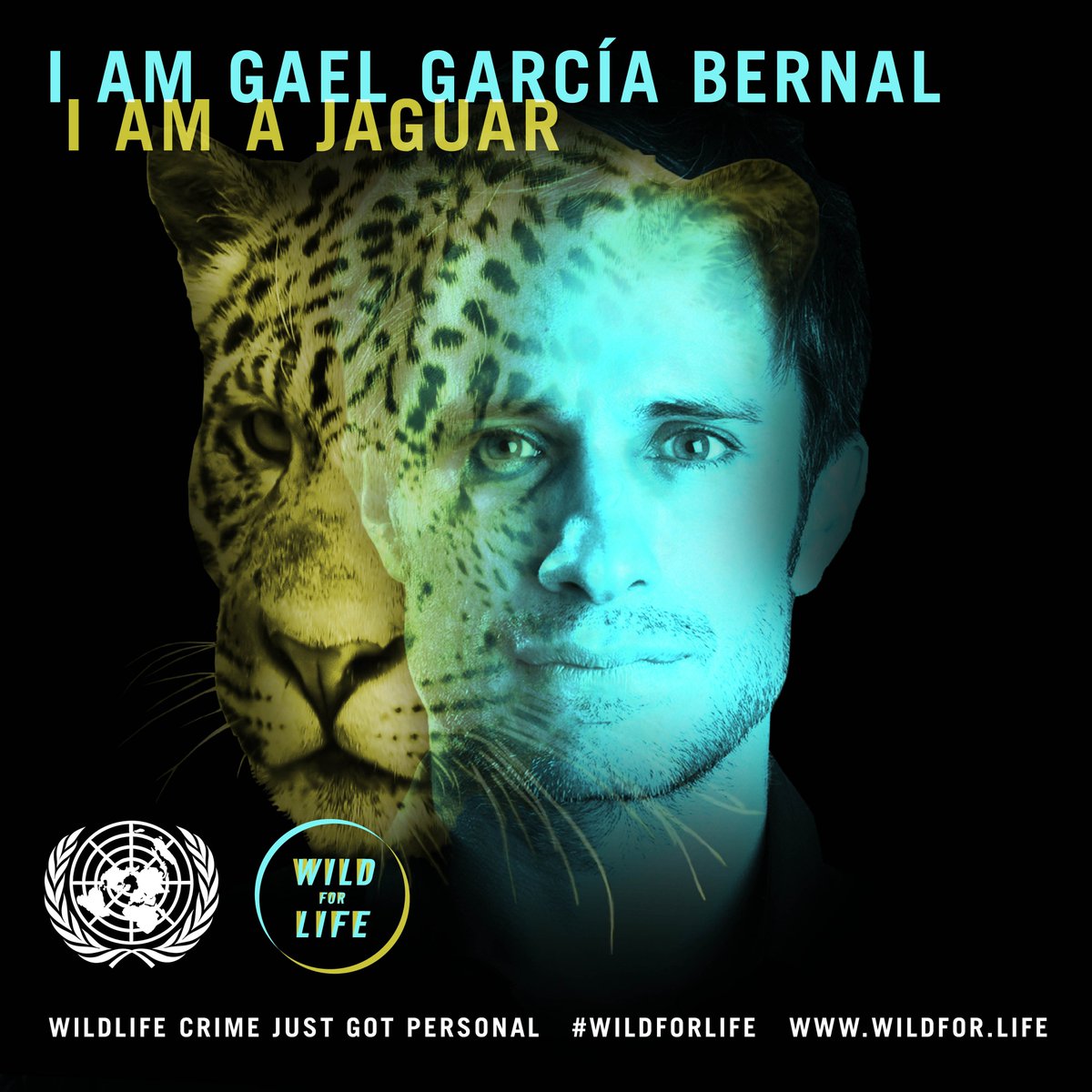 UNEP's tweet photo. Have you shown your support for #WildforLife? Vote for the @UN campaign in @TheWebbyAwards Green Website category! https://t.co/yHyNq1v0Ie https://t.co/p4Slz7VeTA