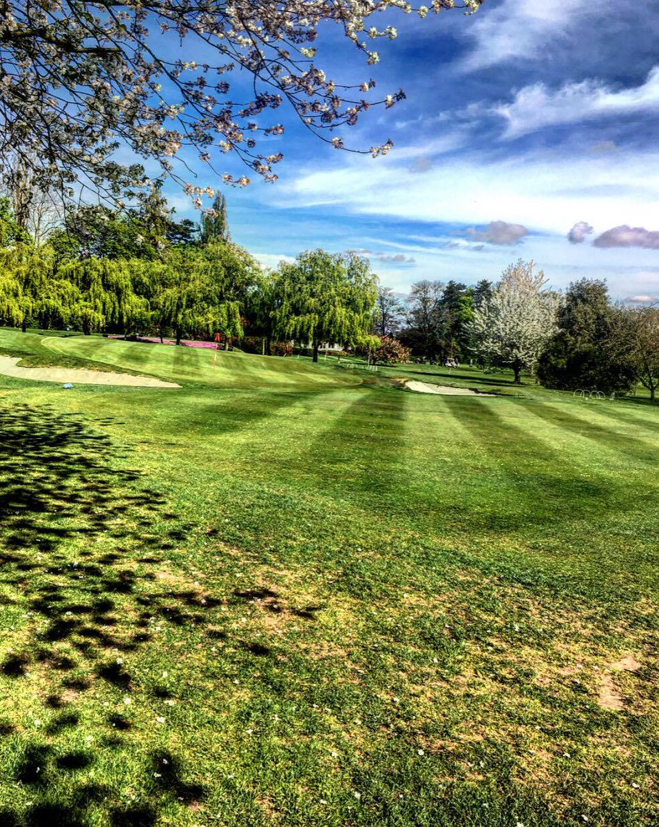 Greenkeeper Sam capturing the 2nd approach looking great last week
