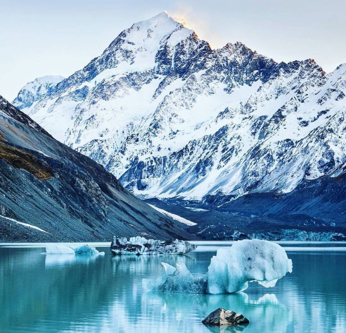 NatureOnPoint's tweet image. 