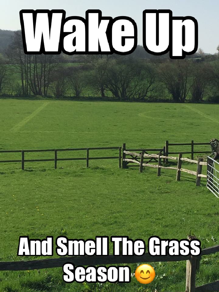 PCArea8Polox's tweet photo. #Polocrosse #grassseason #nearlytheseason #ktpc #thisispolocrosse https://t.co/I00nMf5ouB
