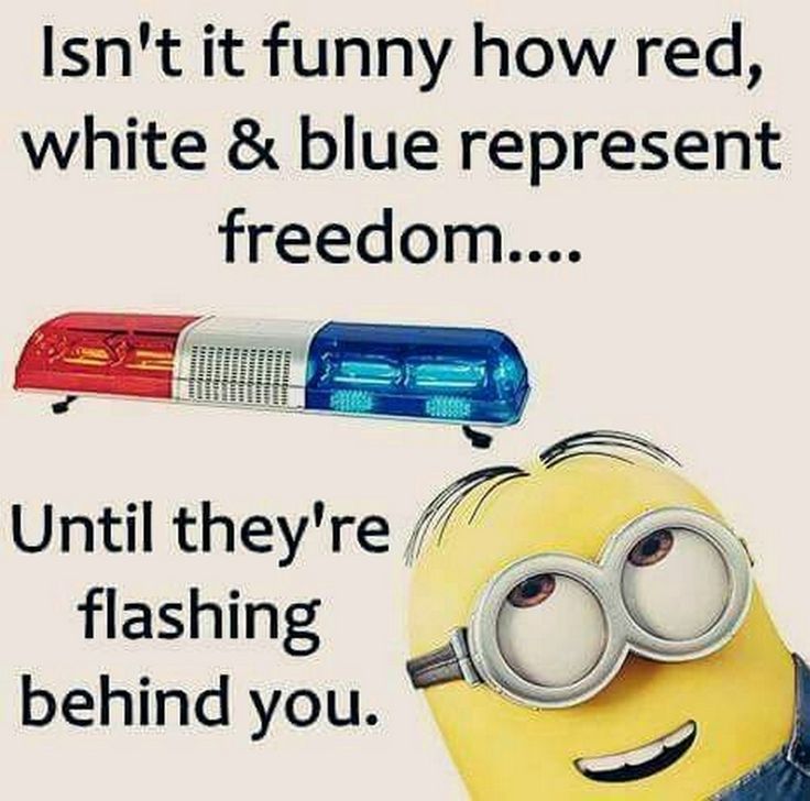 Mary Black (@funnymaryblack) on Twitter photo 