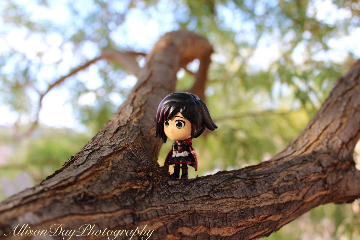 Allison_Day_Luv's tweet photo. RWBY Chibi - Ruby Photoshoot
#RWBY
#RWBYChibi
#FanPhotography
@IAmLindsayJones https://t.co/jE1ujzJopa