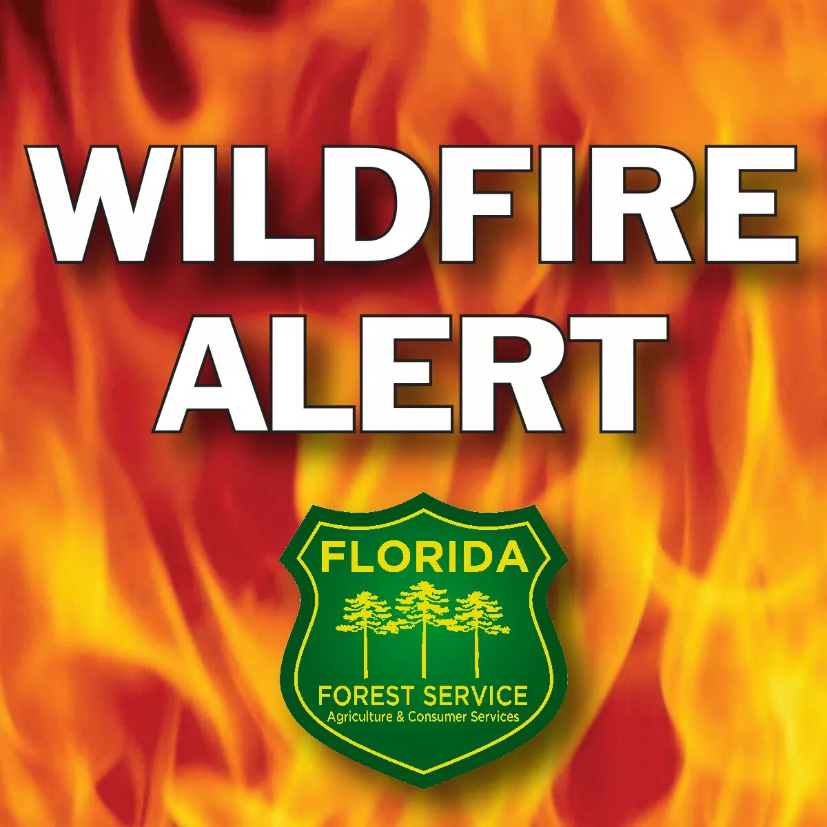 FFS_Withlacooch's tweet photo. Wildfire #SR46 Lake County now 18 acres, 100% contained, Crews mopping up. Cause unknown at this time. https://t.co/asDzDtueNR