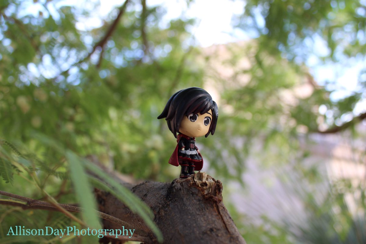 Allison_Day_Luv's tweet photo. RWBY Chibi - Ruby Photoshoot
#RWBY
#RWBYChibi
#FanPhotography
@IAmLindsayJones https://t.co/jE1ujzJopa