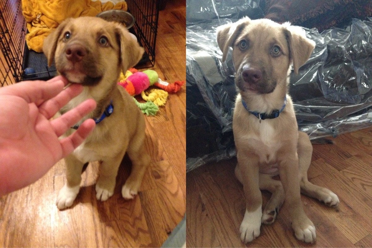 Baby Animals tweet media