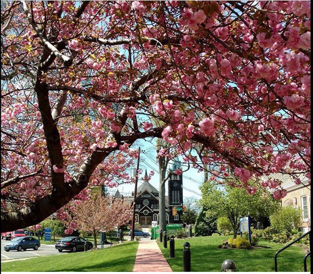 A picturesque stroll thru downtown Cranford. Find out more about us facebook.com/downtowncranfo…