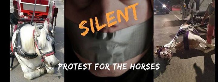 nyclass's tweet photo. #PROTEST WEDNESDAY #RT EVENT: https://t.co/Bi0UlOze3c #BANHORSECARRIAGES #emptythecarriages #animalrights #NYCgo #ilovenyc https://t.co/sGTkYrSeYI