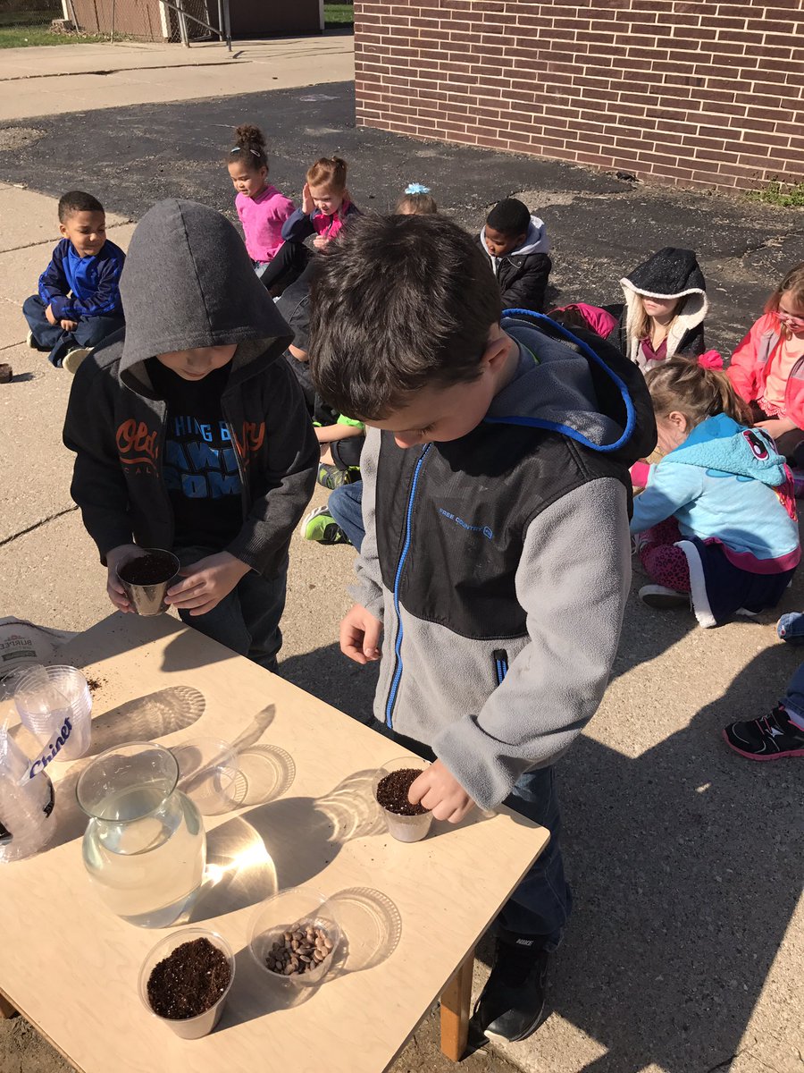 krbrookshire's tweet photo. Planting beans for our beans stalks @dieckk5 @swartz_creek #Kindergarten https://t.co/A4BXJjVrZA