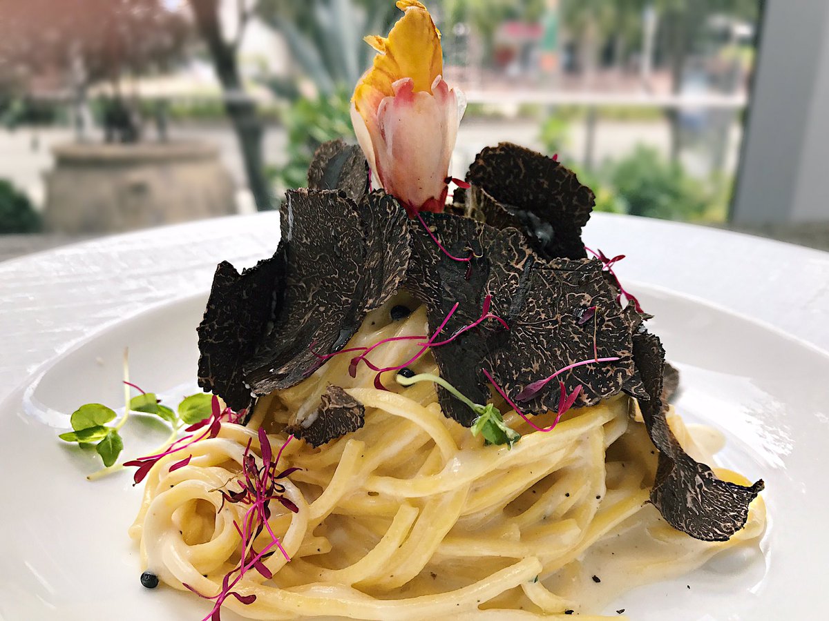 TamarinaMiami tweet media