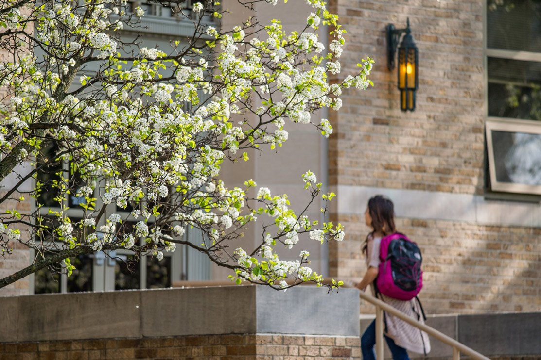 PhotosND's tweet photo. Spring has arrived on campus!  Check out our Spring collection of photos available for purchase: https://t.co/23XY5GSkeL https://t.co/gdeks3CJzD