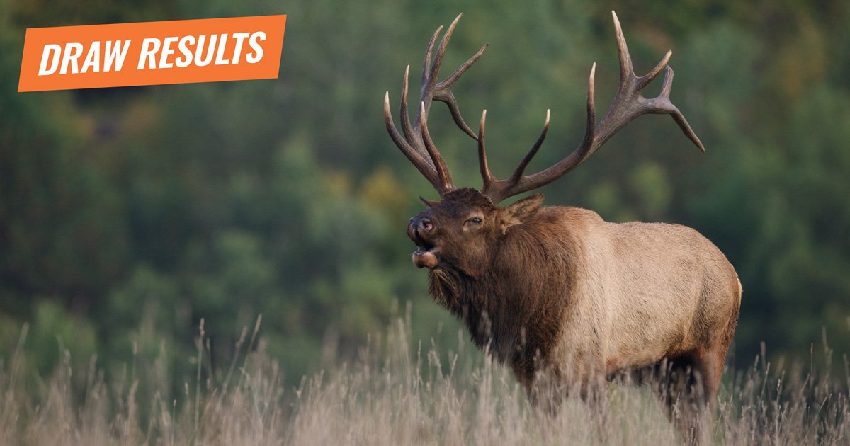 goHUNT on Twitter: "2017 Montana deer 