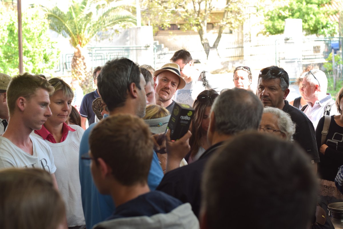 PythioOliveOil's tweet photo. A group from France, on a guided tour, attending our presentation and tasting our premium products. #PythioOliveOil #PremiumProducts #evoo https://t.co/sjNpYqjJyo