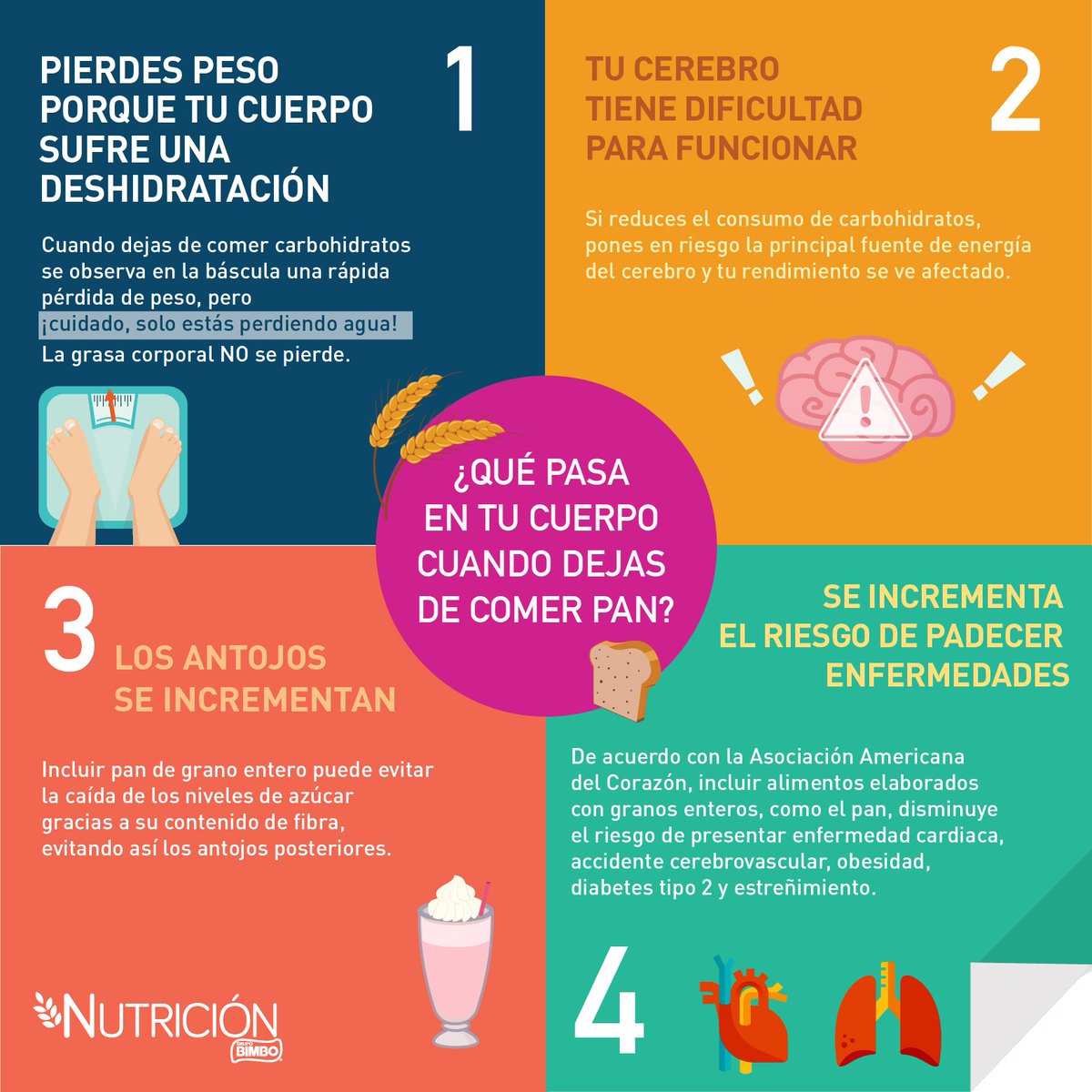 ¿Estás seguro de que eliminar el pan de tu alimentación, es lo adecuado? Nosotros te decimos la verdad.
