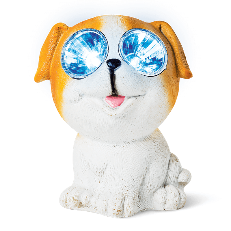 scgracechurch's tweet photo. Longing for a puppy but can't commit? @flyingtigercph have got the perfect pet… https://t.co/EVla7i7Rr8
