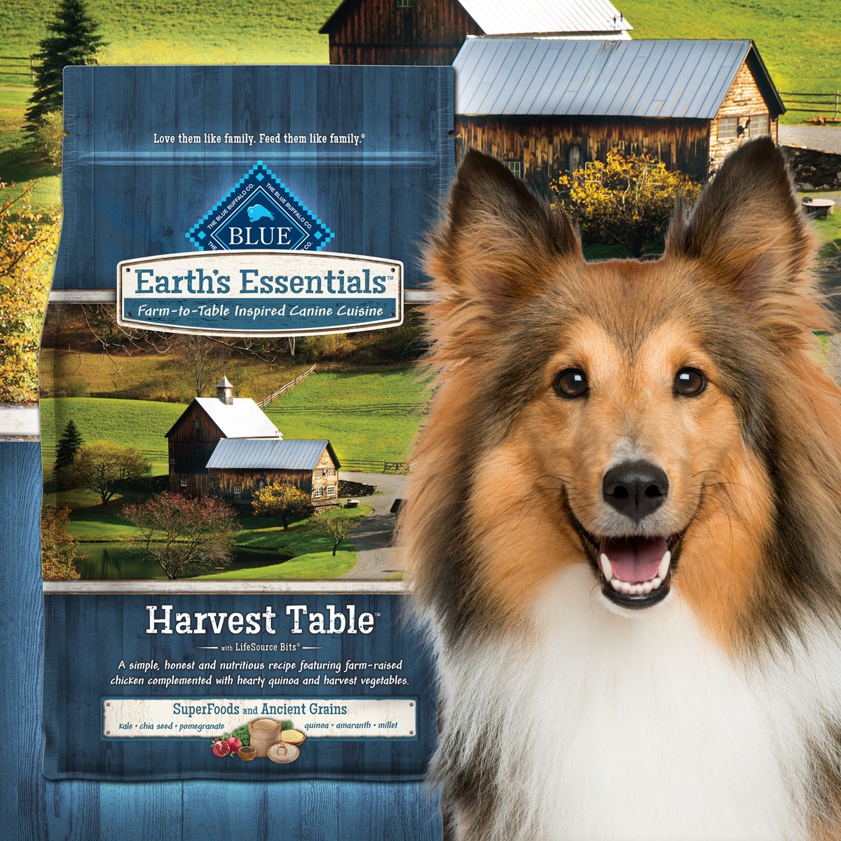 blue buffalo earth essentials