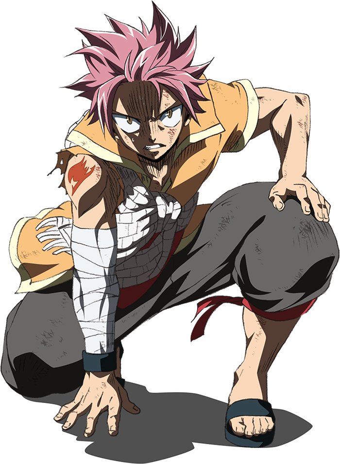 Natsu Dragneel, Wiki