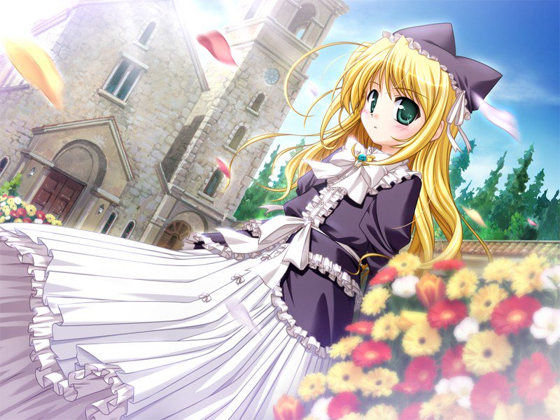 本日は夜明け前より瑠璃色なのリースリット・ノエルちゃんの誕生日です